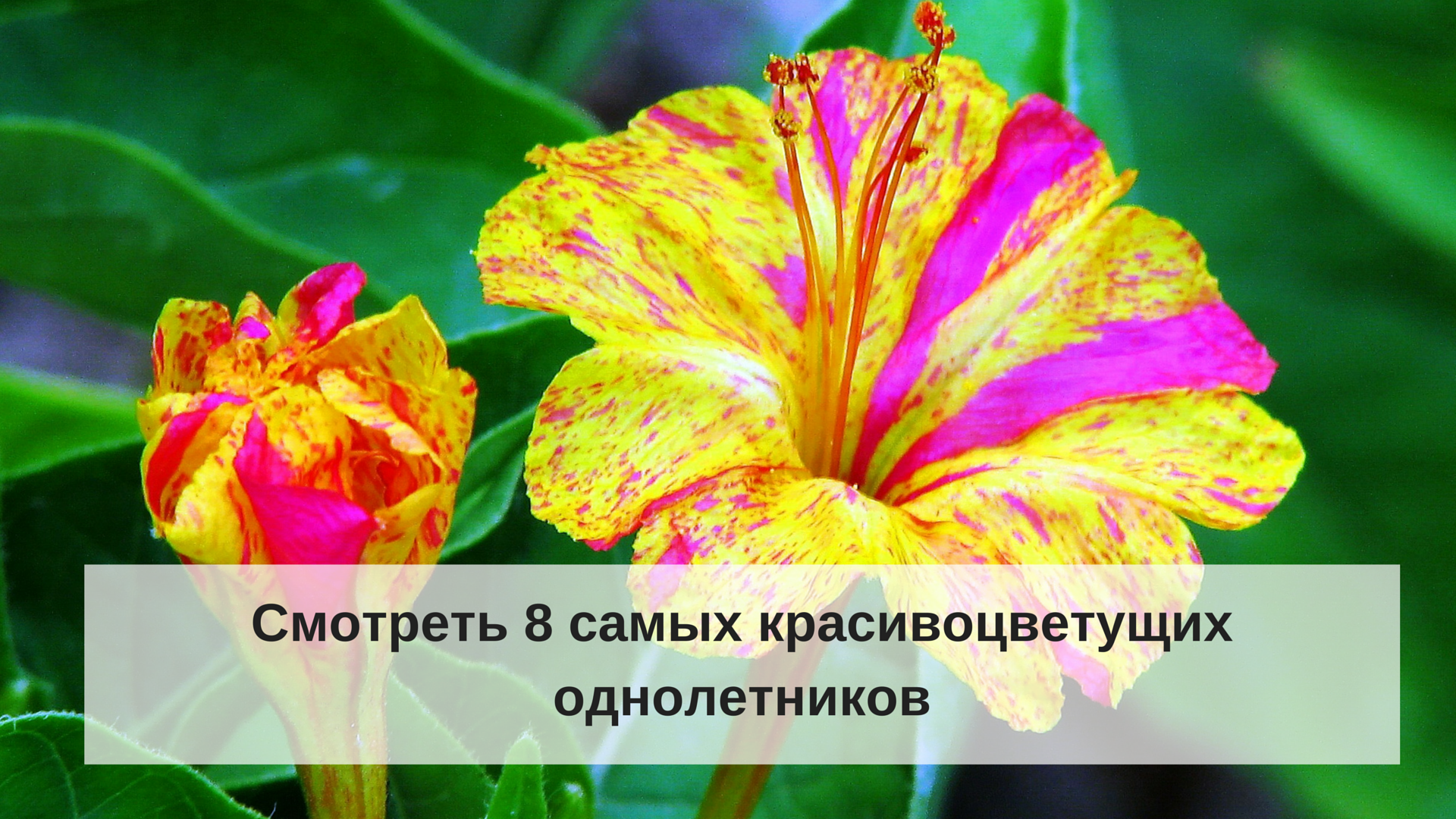 Небольшие фонтанчики своими руками Небольшие фонтанчики своими руками